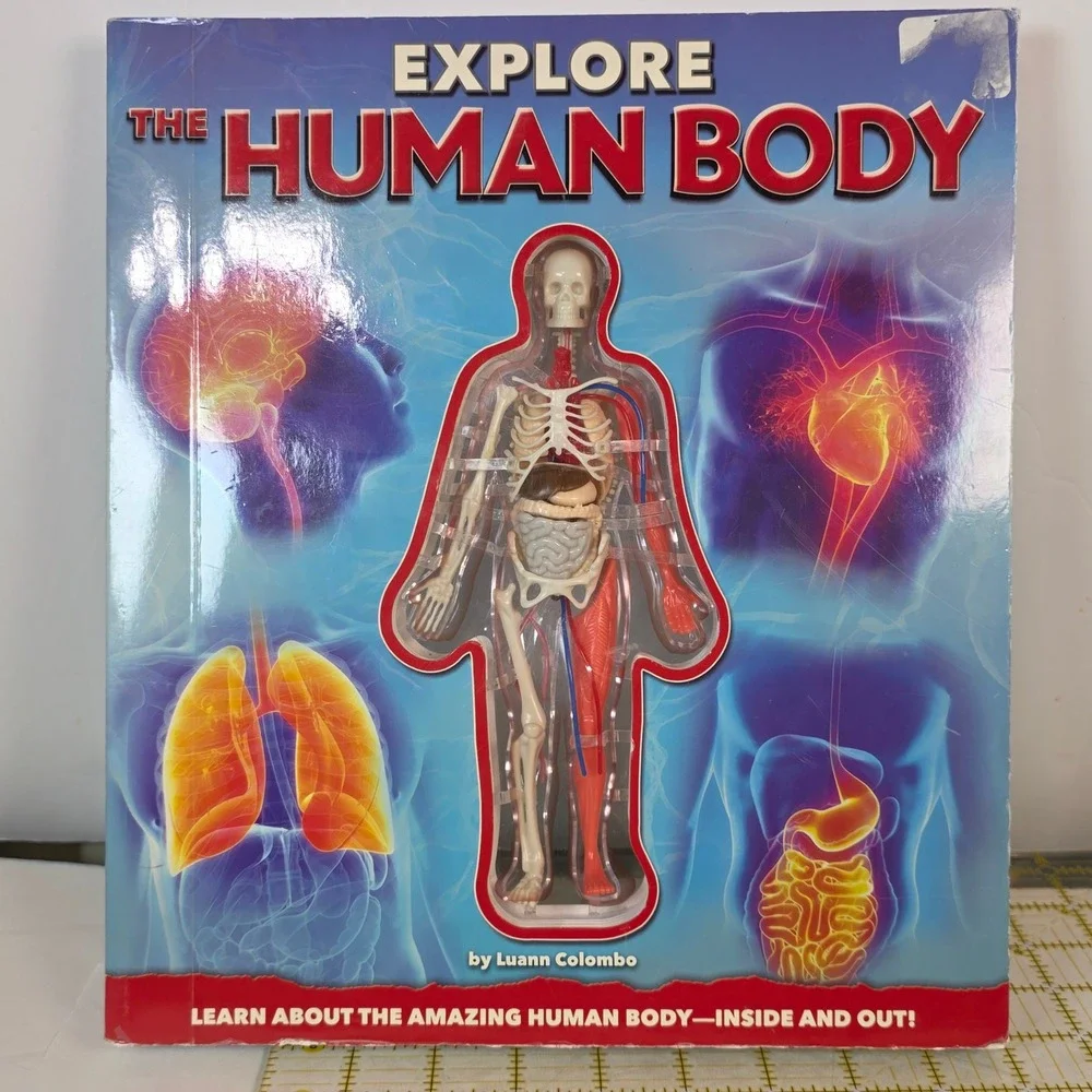 Explore The Human Body Luann Colombo 3D Model Interactive Science educational